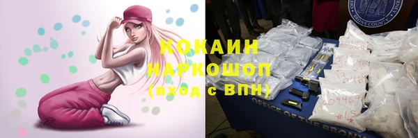 МДПВ Липки