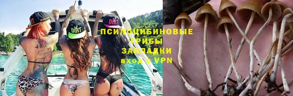 МДПВ Липки